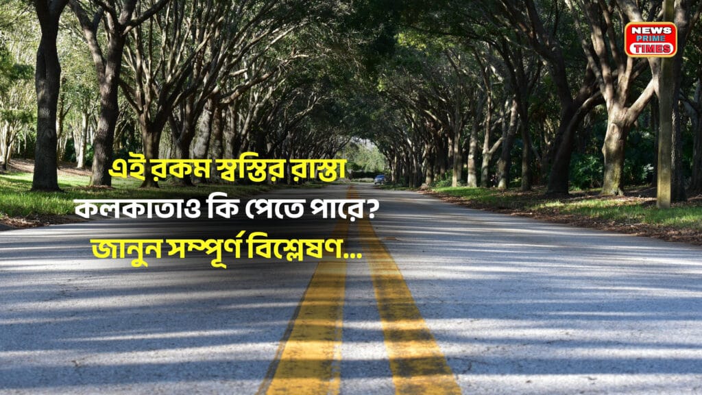 Tree-lined empty road with natural green canopy in daylight